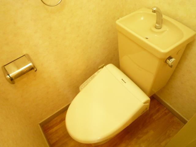 Toilet. Toilet