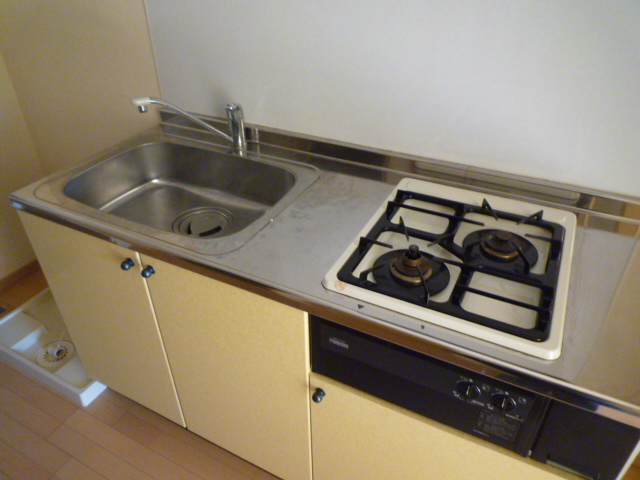 Kitchen. Two-burner stove grill