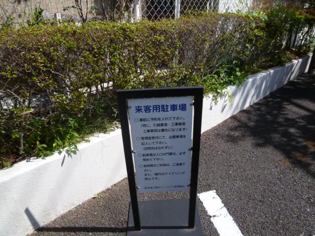 Parking lot. Local (12 May 2013) Shooting