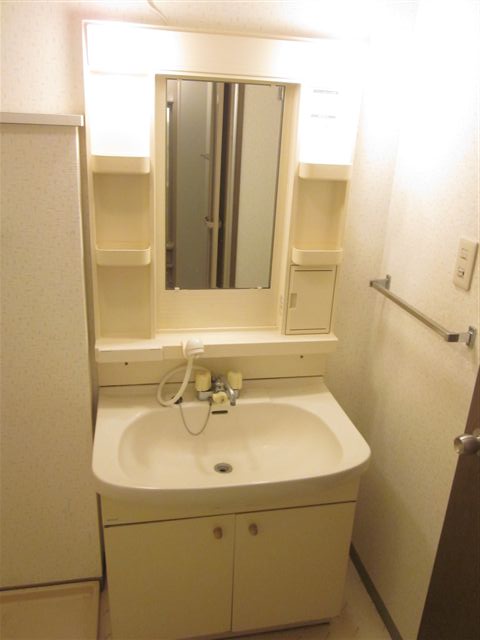 Other room space. Washbasin with popular shower