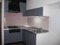 Kitchen. Convenient L-shaped kitchen