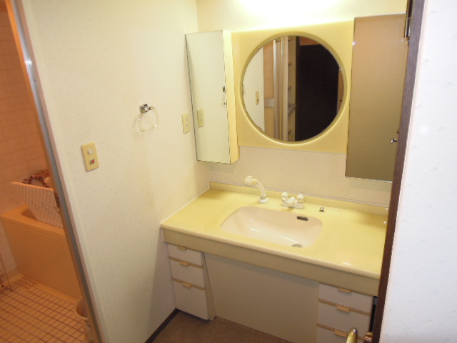 Washroom. Large mirror is characterized by shampoo dresser