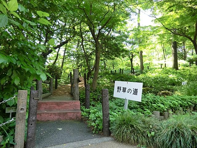 park. Until Akatsukashokubutsuen 1089m