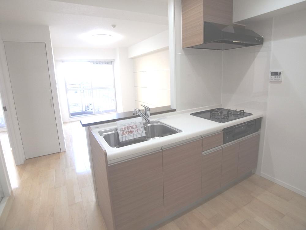 Kitchen. Indoor (11 May 2013) Shooting