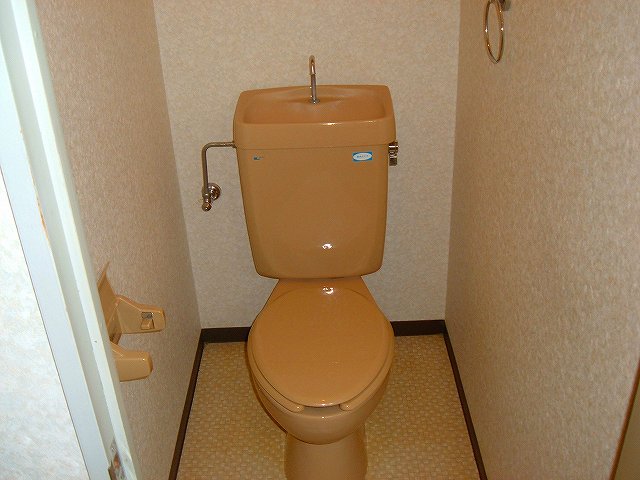 Toilet. This is the toilet visible. 