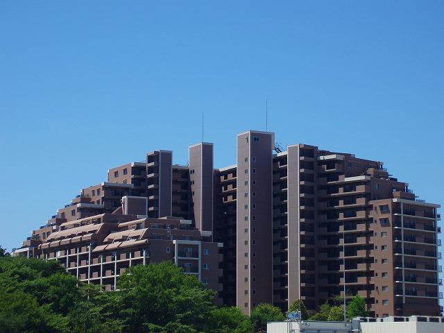 Local appearance photo. Local (August 2011) shooting