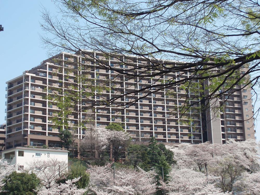 Local appearance photo. appearance