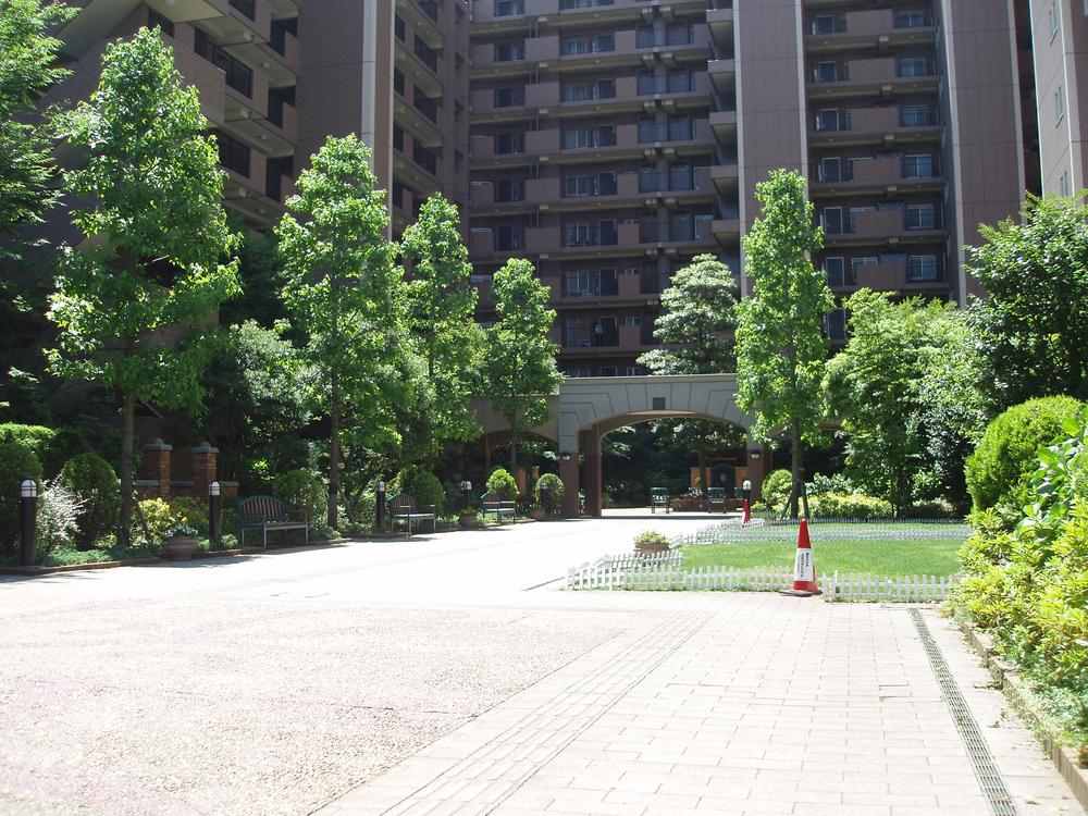 Garden. Patio garden
