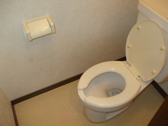 Toilet. (Other floor plan reference photograph)