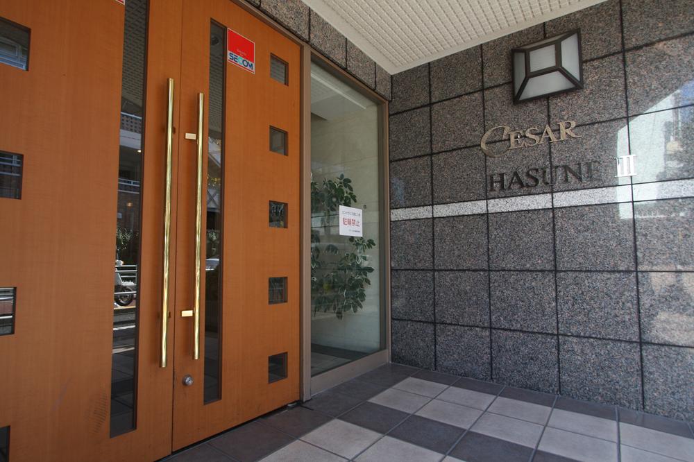 Entrance. Common areas