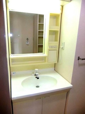 Washroom. Bathroom vanity