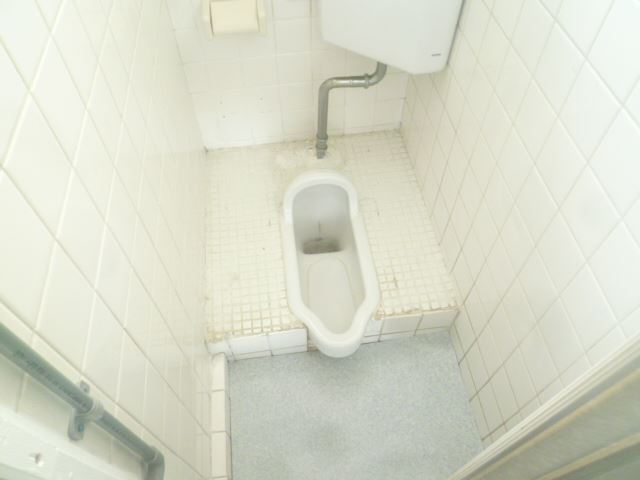 Toilet. Japanese style