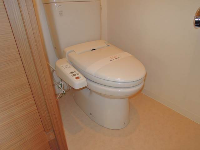 Toilet. Warm water washing toilet seat