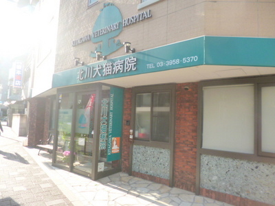 Hospital. Kitagawa 569m until the dog cat hospital (hospital)