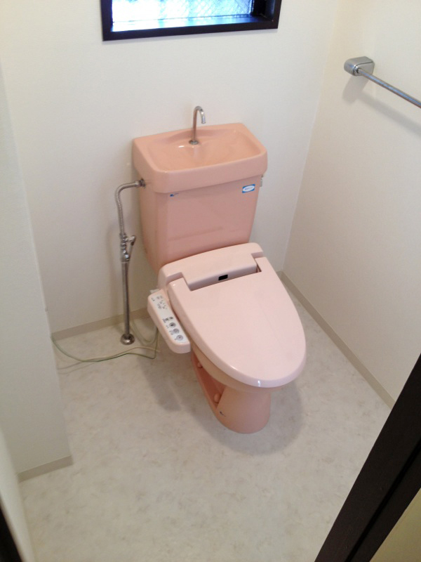 Toilet. Washlet toilet