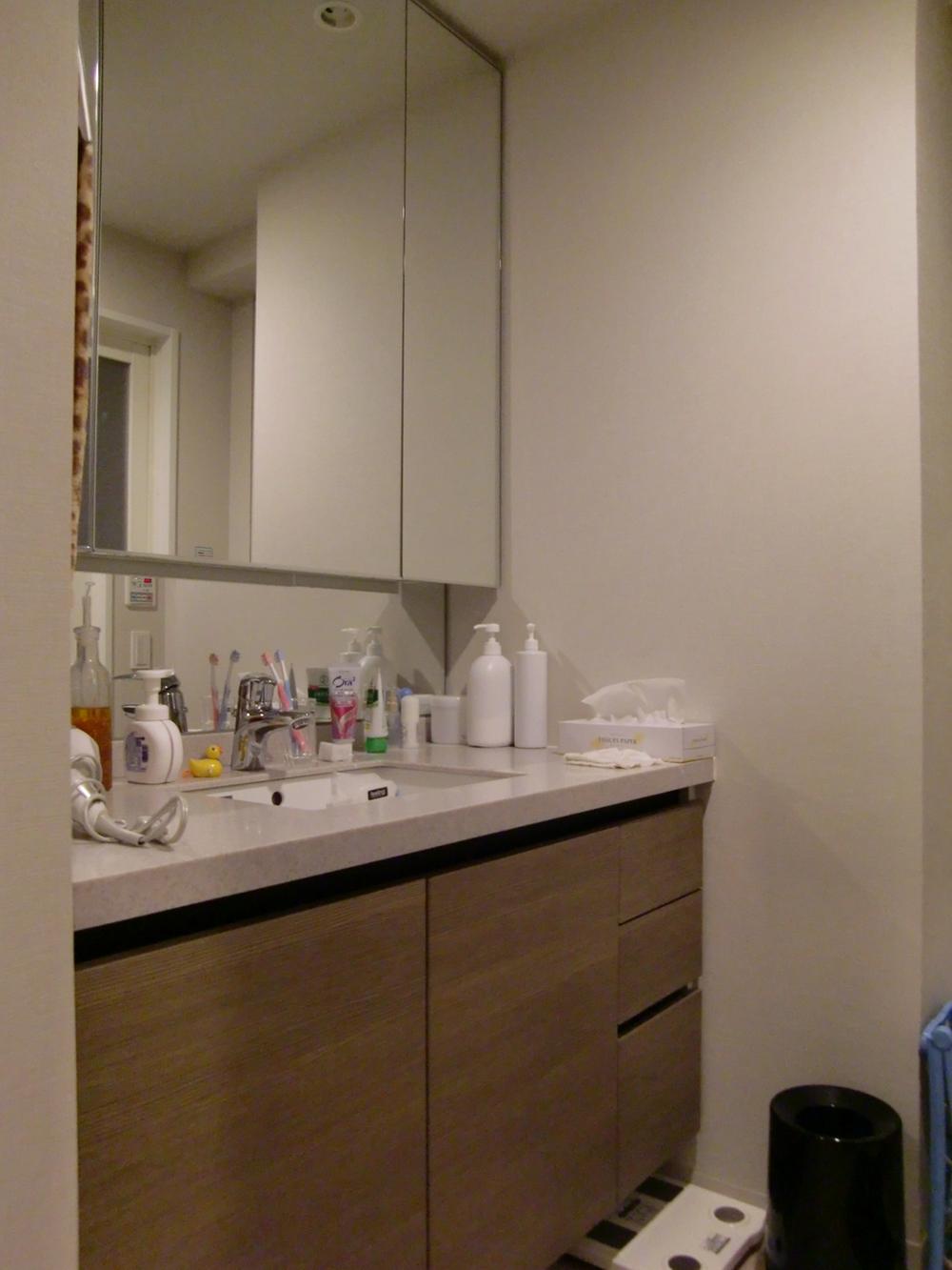 Wash basin, toilet. Indoor (September 2012) shooting