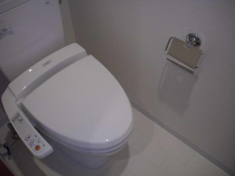 Toilet. Bidet