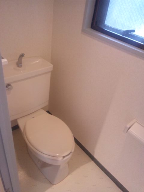 Toilet. It is a flush toilet.