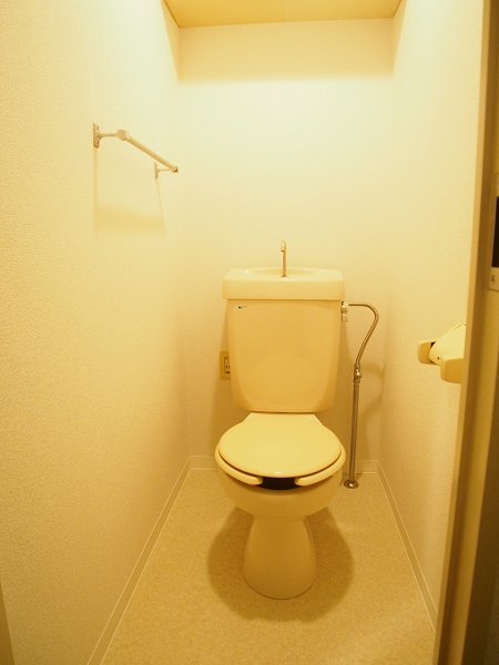 Other. Toilet