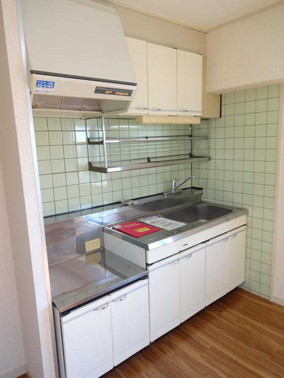 Kitchen. Economical two-burner gas stove installation Allowed city gas