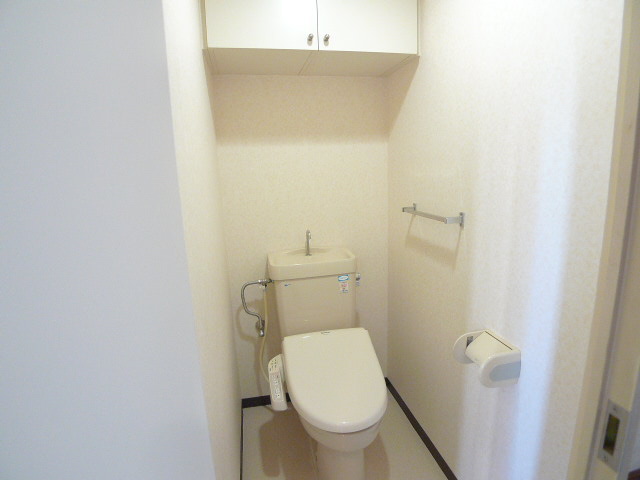 Toilet. It is a popular bidet toilet
