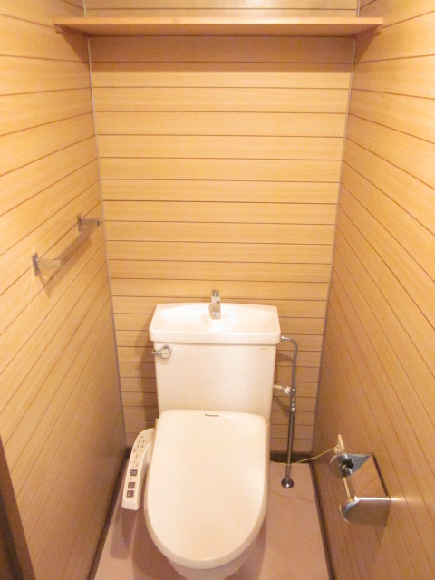 Toilet. There is storage shelves in the bidet top