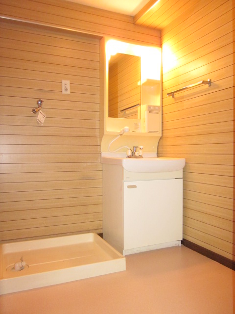 Washroom. Washbasin with convenient shower