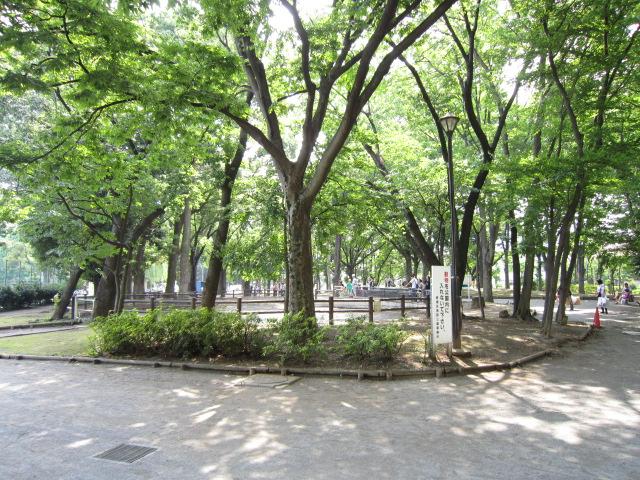 Other local. East Itabashi park