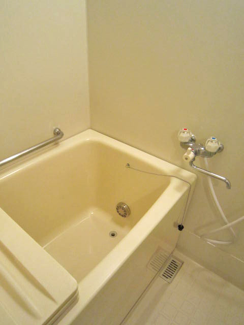 Bath. Wide bathtub