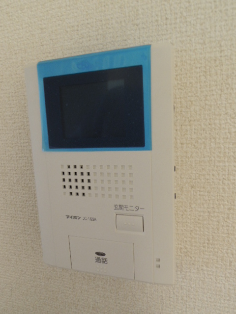 Security. Intercom with TV monitor