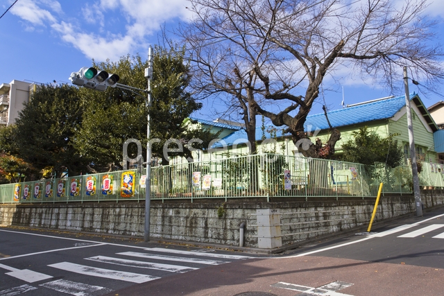 kindergarten ・ Nursery. Nadeshiko kindergarten (kindergarten ・ 498m to the nursery)