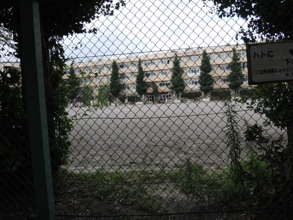 Junior high school. 415m until Itabashi Kamiitabashi first junior high school (junior high school)