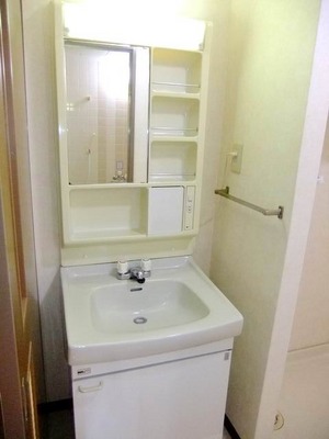 Washroom. Bathroom vanity