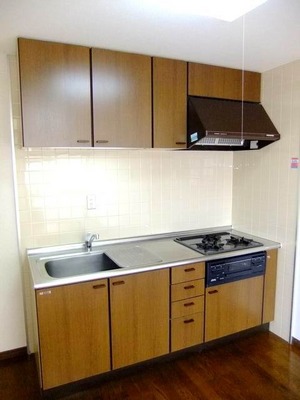 Kitchen. 3-burner stove in the kitchen (hanging cupboard There is also a storage lot)