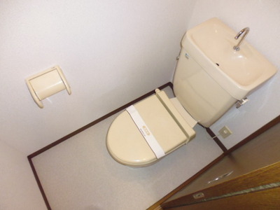 Toilet. Toilet