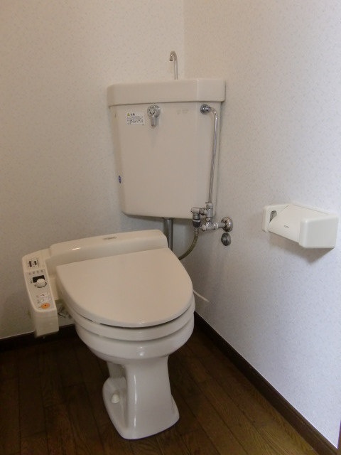 Toilet. Washlet toilet