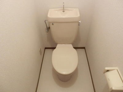 Toilet. Toilet