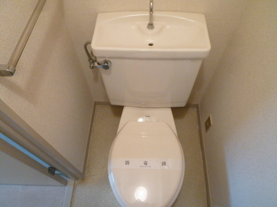 Toilet. Toilet (reference photograph of another in Room)