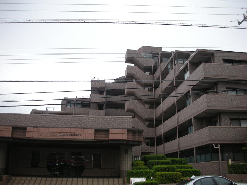 Local appearance photo. Local (11 May 2013) Shooting