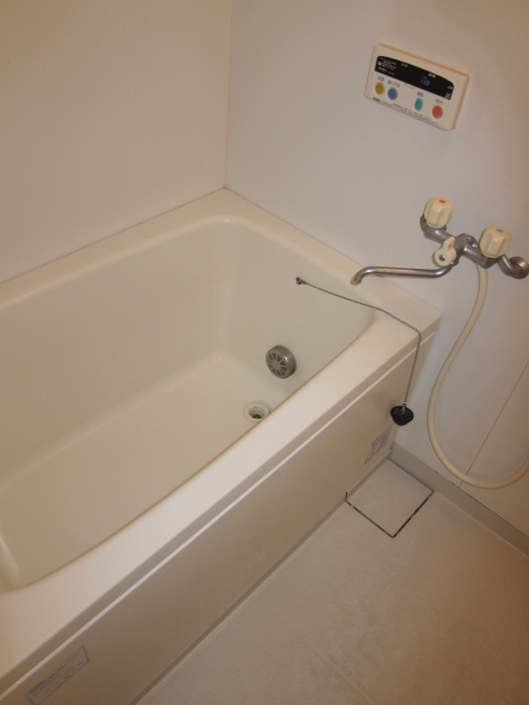 Bath. It will be in the room photo in reversal type room.