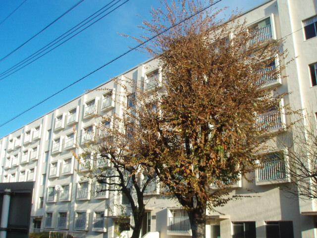 Local appearance photo. Local (12 May 2013) Shooting