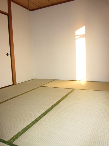 Living and room. Japanese style room