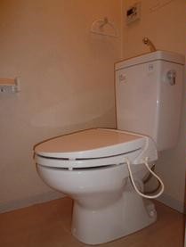 Toilet. Washlet toilet