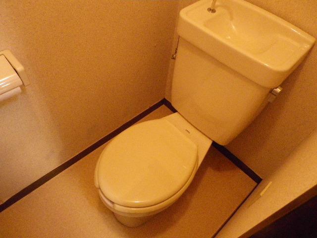 Toilet. toilet.