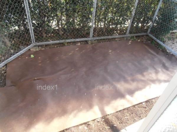 Garden. It seems to enjoy a little gardening