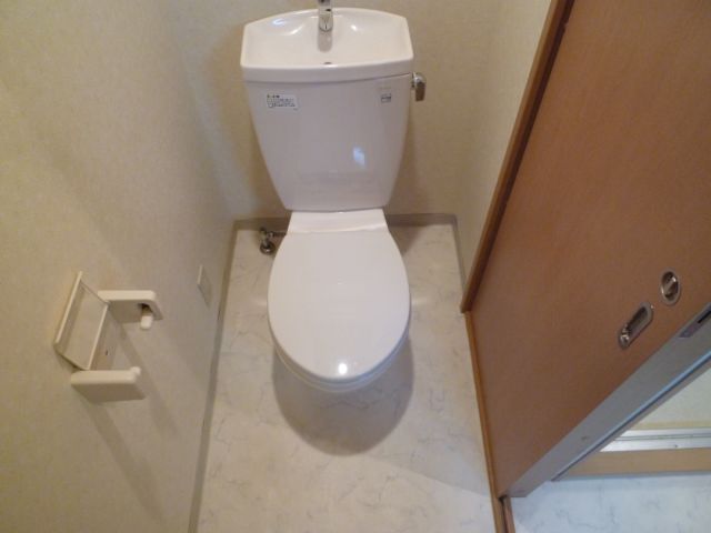 Toilet. Toilet