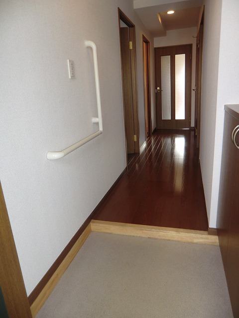 Entrance. Step there is a handrail has also become a small build. 