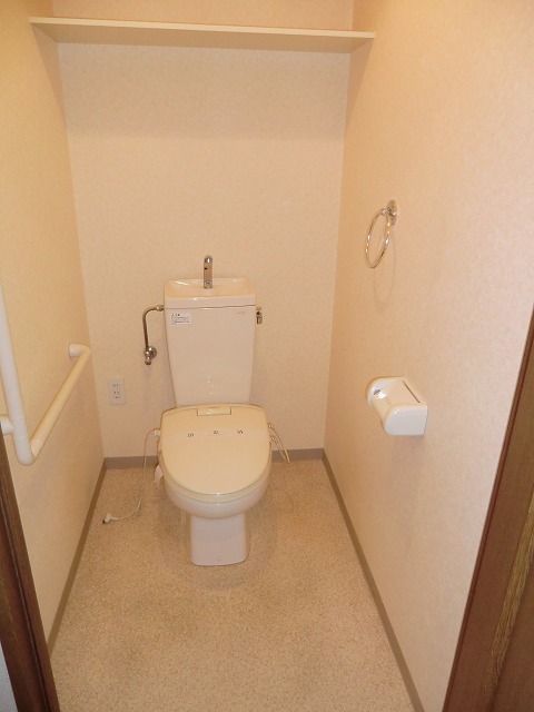 Toilet. Toilet is of of Hilo spacious with grab bars