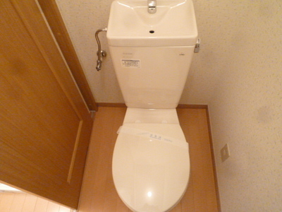 Toilet. Toilet (reference photograph of another in Room)