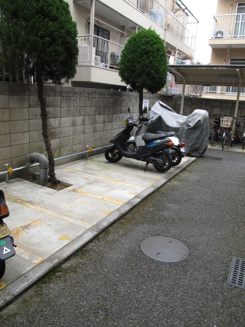 Parking lot. Bike shelter, , Bicycle-parking space